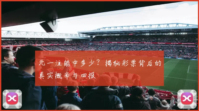 元一注能中多少？揭秘彩票背后的真实概率与回报
