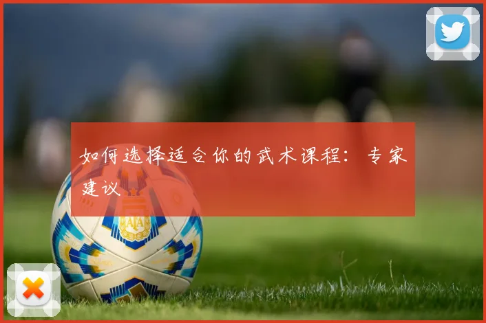 如何选择适合你的武术课程:专家建议
