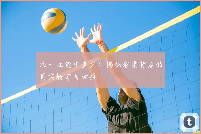 元一注能中多少？揭秘彩票背后的真实概率与回报